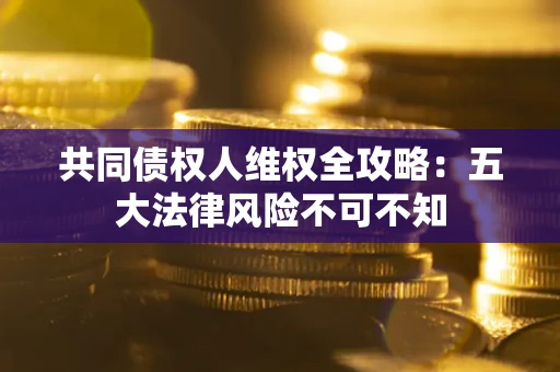 武汉共同债权人维权全攻略：五大法律风险不可不知