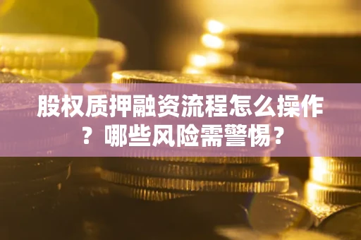 武汉股权质押融资流程怎么操作？哪些风险需警惕？