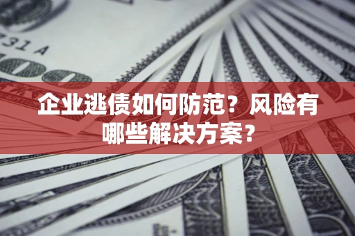 武汉企业逃债如何防范？风险有哪些解决方案？