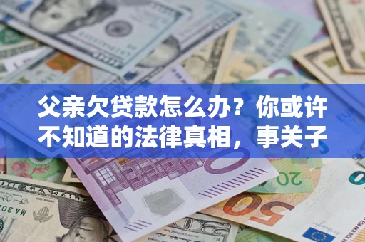 武汉父亲欠贷款怎么办？你或许不知道的法律真相，事关子女未来