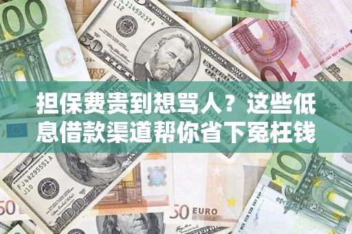 武汉担保费贵到想骂人？这些低息借款渠道帮你省下冤枉钱