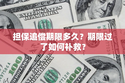武汉担保追偿期限多久？期限过了如何补救？