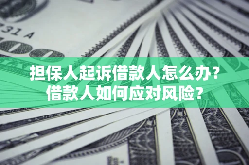 武汉担保人起诉借款人怎么办？借款人如何应对风险？