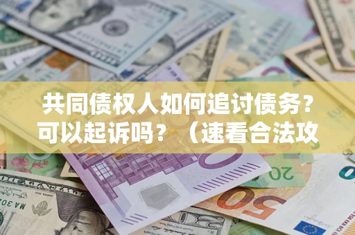 武汉共同债权人如何追讨债务？可以起诉吗？（速看合法攻略）