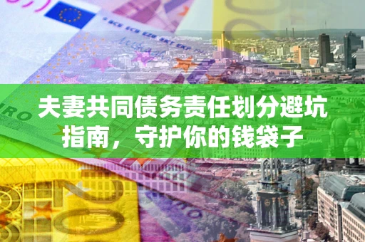 武汉夫妻共同债务责任划分避坑指南，守护你的钱袋子