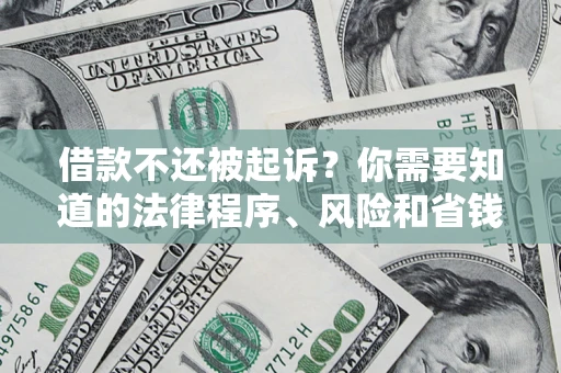 武汉借款不还被起诉？你需要知道的法律程序、风险和省钱技巧
