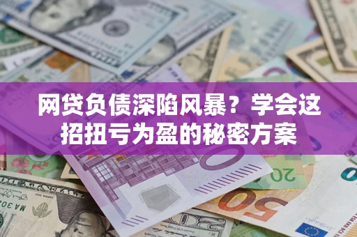 武汉网贷负债深陷风暴？学会这招扭亏为盈的秘密方案